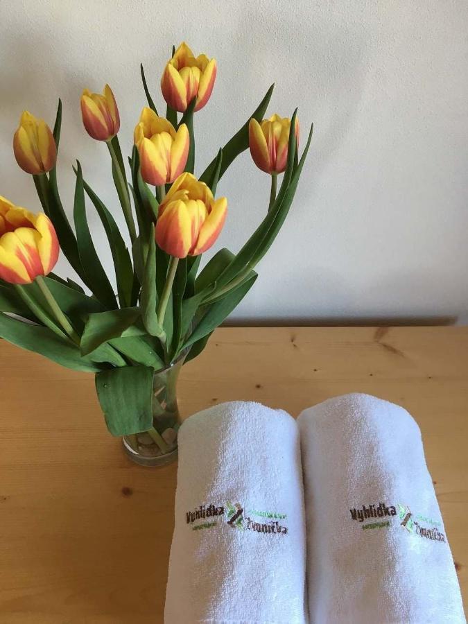 Horsky Apartman Vyhlidka Rejviz Zlaté Hory Eksteriør bilde